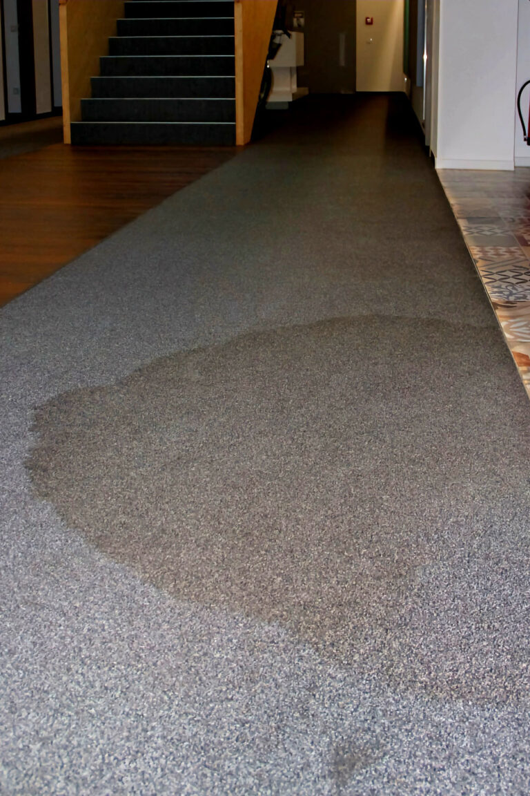 Blitz Sauber - Reinigung Teppich